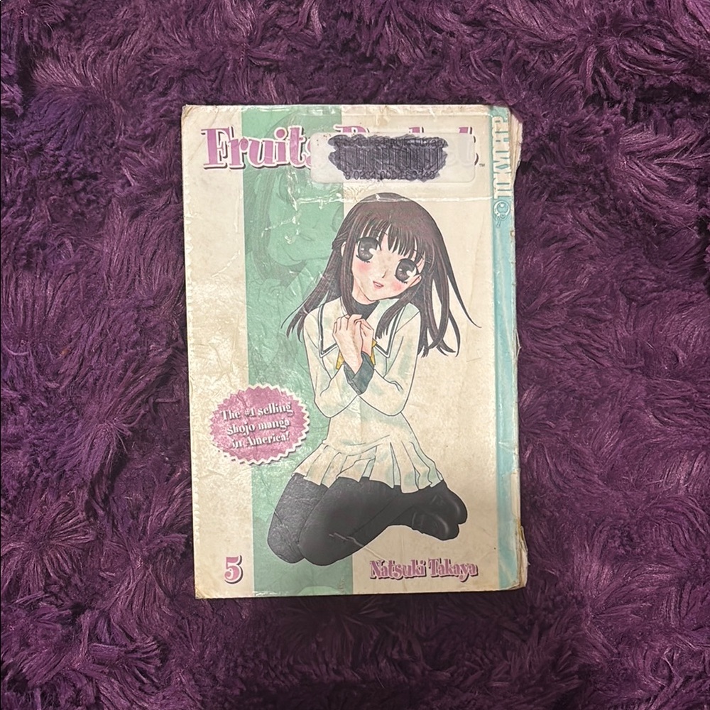 Fruits Basket Manga Volume 5
